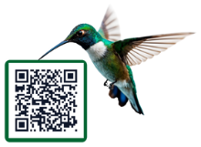 Custom QR code design sample 1 with template frame