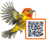 Custom QR code design sample 2 for label and packaging
